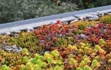 the cost of Bulkington green roof installation