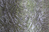 Bulkington fibreglass roof work